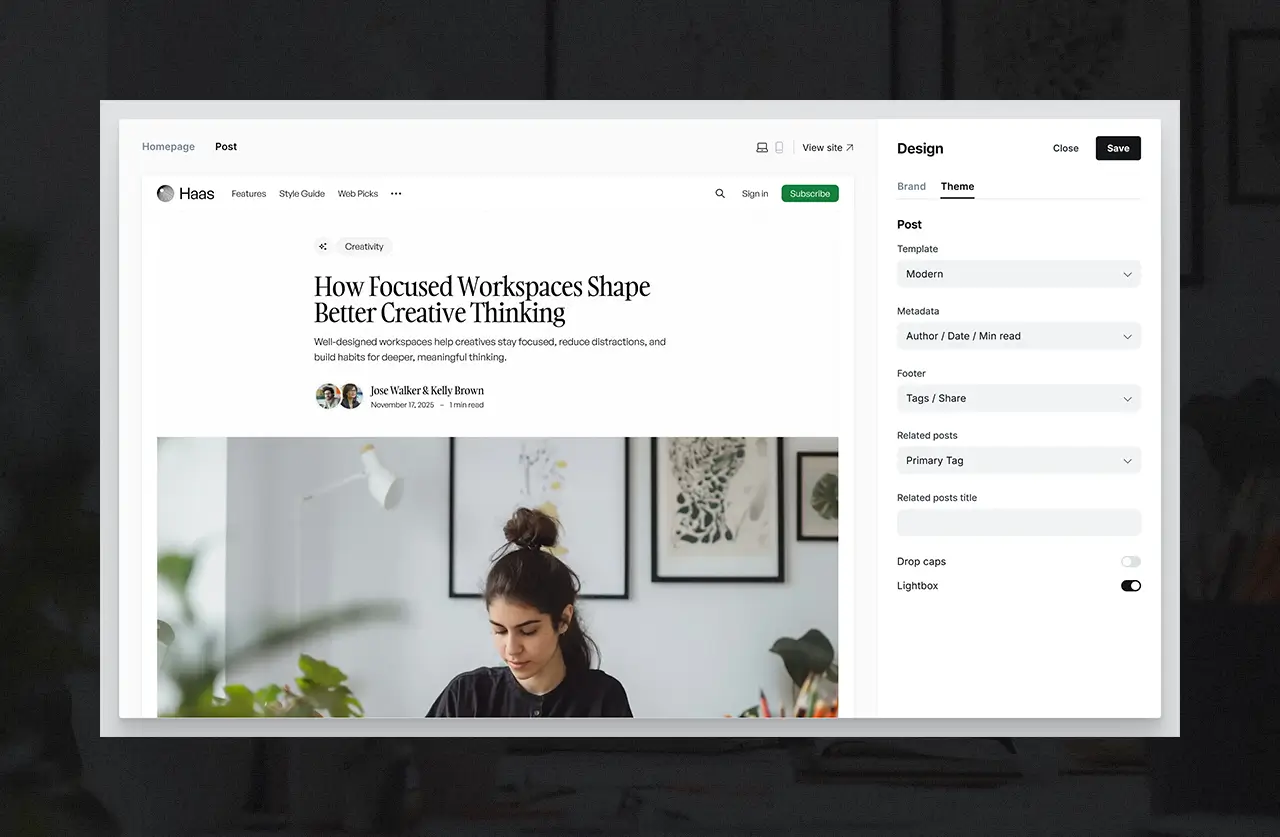 Haas (Post and Page Options)